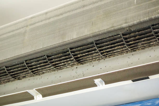 Best HVAC System Cleaning  in Industry, PA